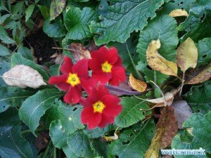 20201008_165910.jpg