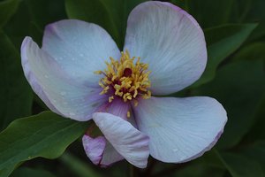 image13.jpg