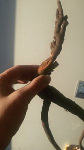 20151009_164532.jpg