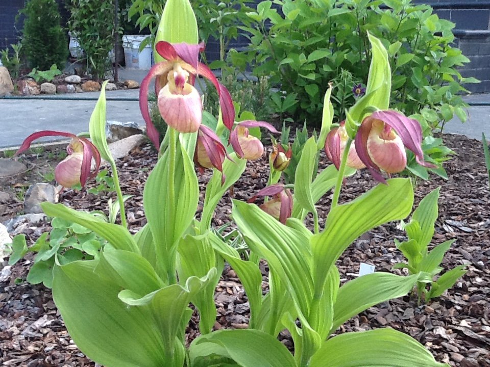 image2.jpeg